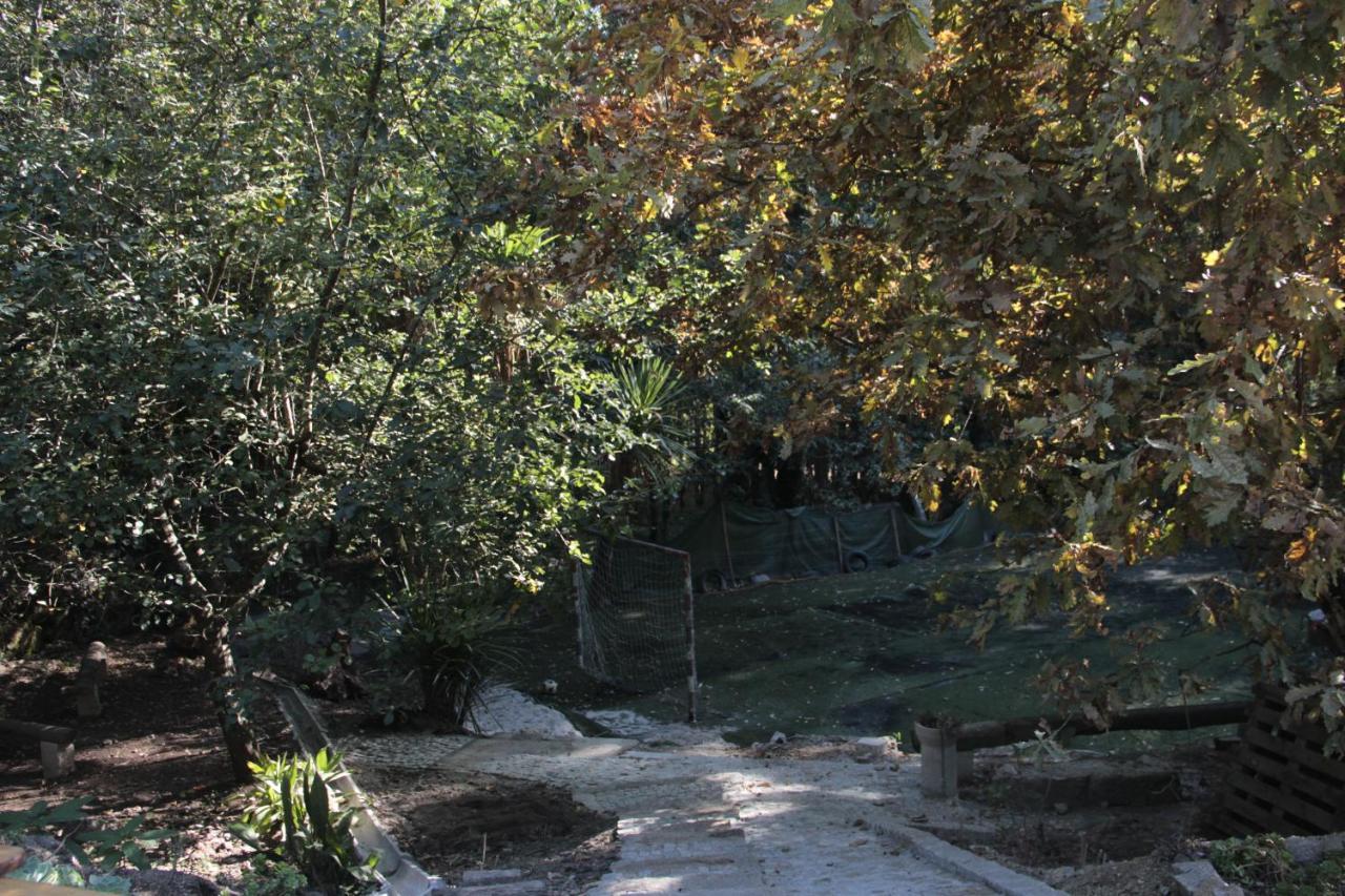 Bosque Dos Amieiros Villa Marco de Canavezes Eksteriør bilde