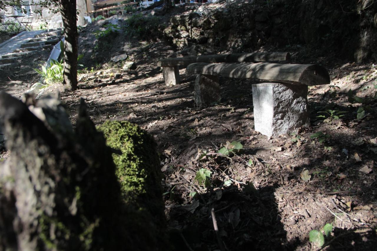 Bosque Dos Amieiros Villa Marco de Canavezes Eksteriør bilde