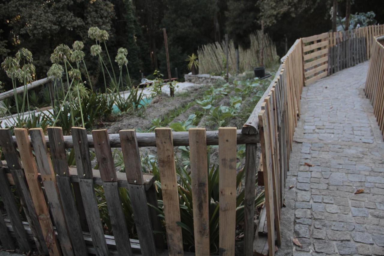 Bosque Dos Amieiros Villa Marco de Canavezes Eksteriør bilde